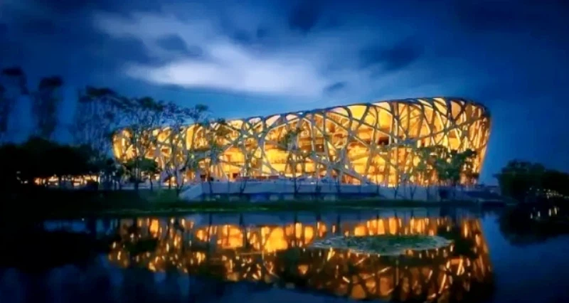 Birds Nest Birds Nest