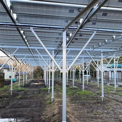 Fermă solară pentru producția de culturi
